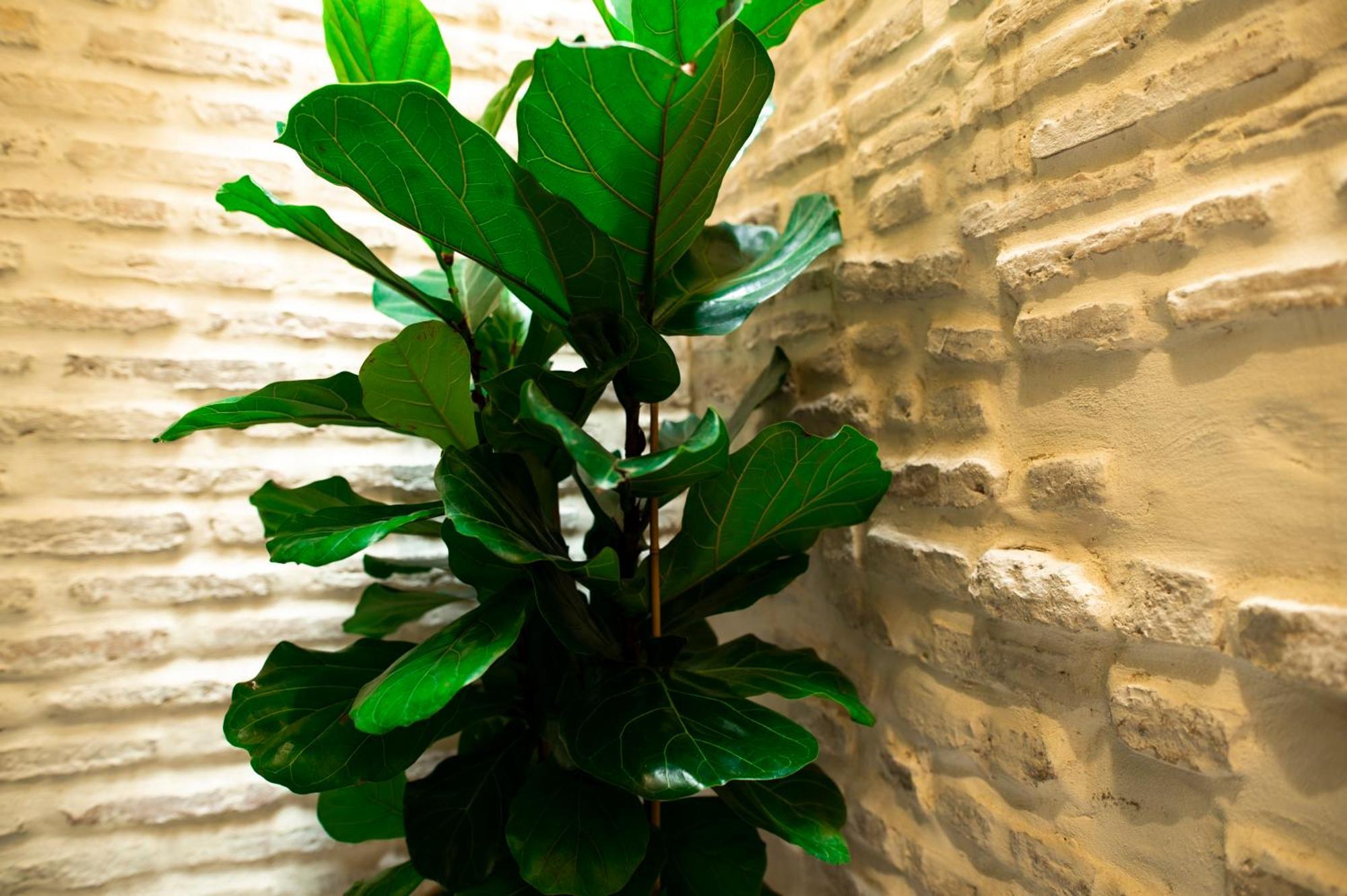 Legado Magdalena Hotel Siviglia Esterno foto